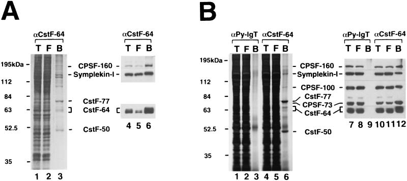 FIG. 7