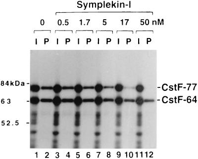 FIG. 6