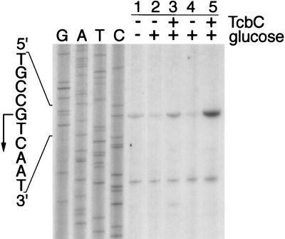 FIG. 7