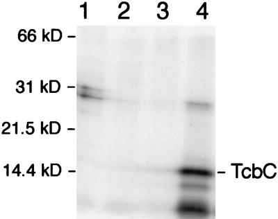 FIG. 5