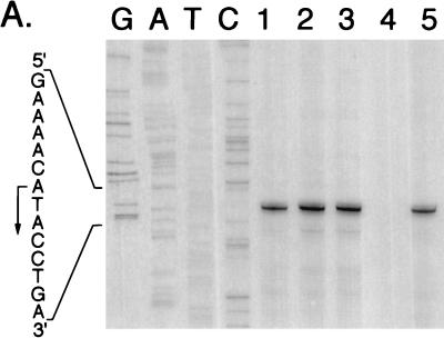 FIG. 6