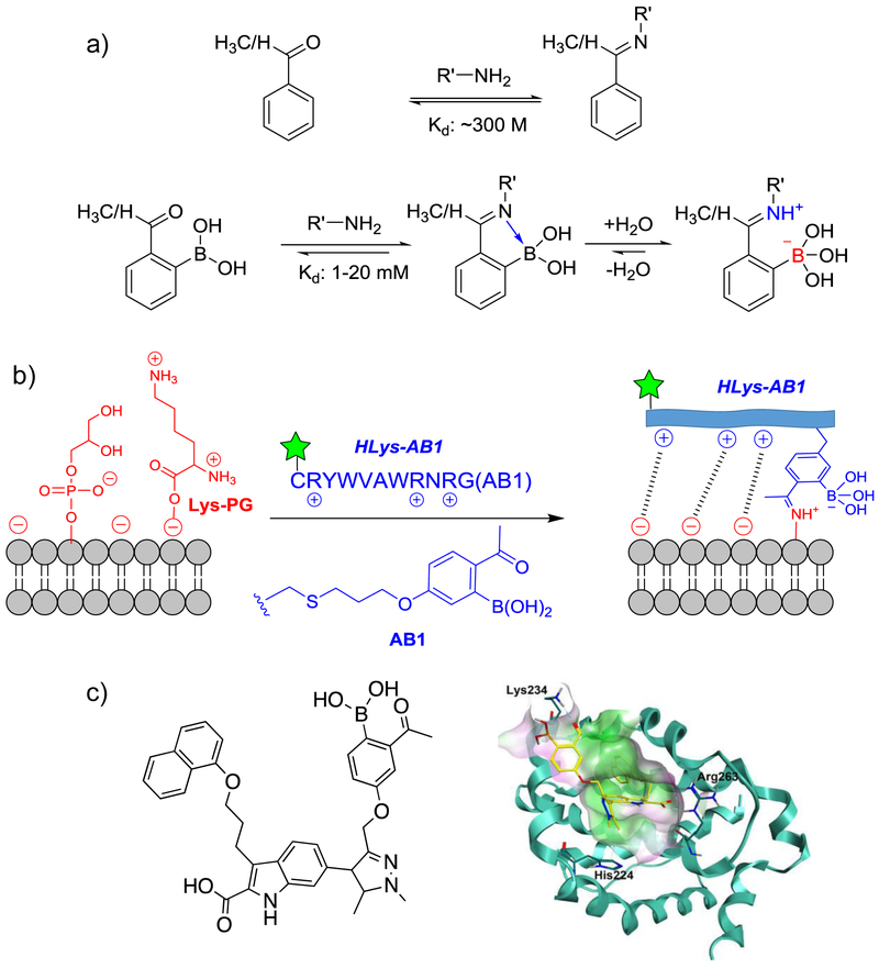 Figure 2.