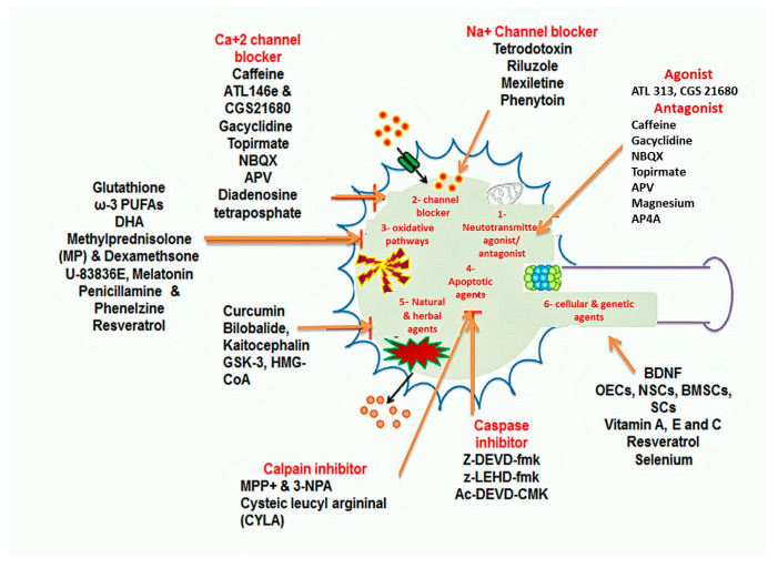 Figure 6