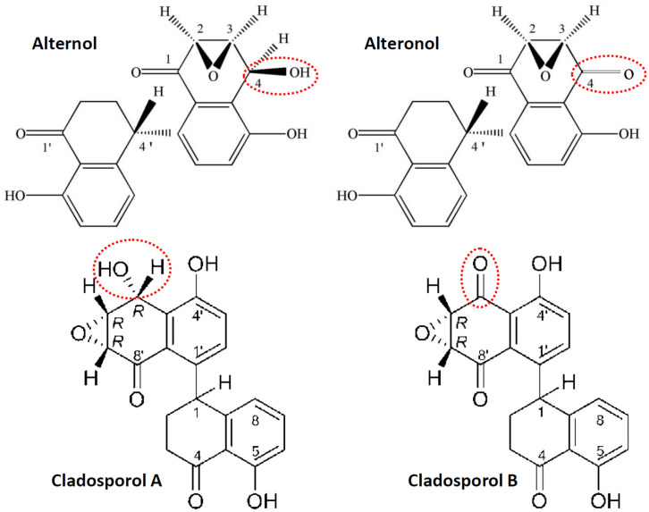 FIGURE 1