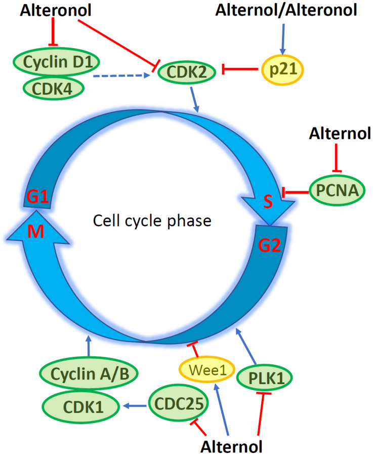 FIGURE 2