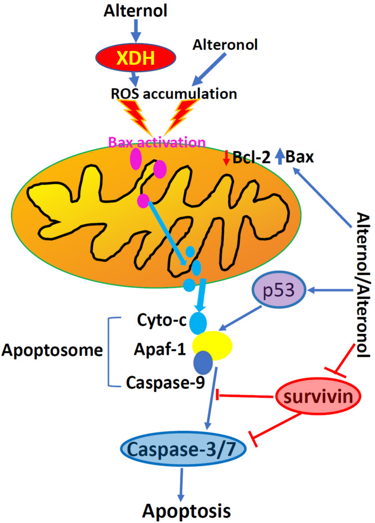 FIGURE 3