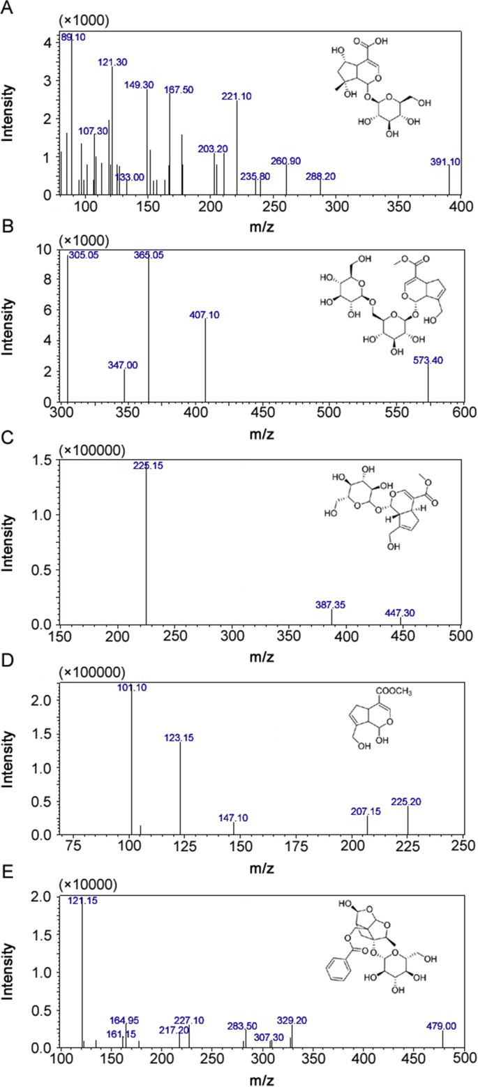 Fig. 1