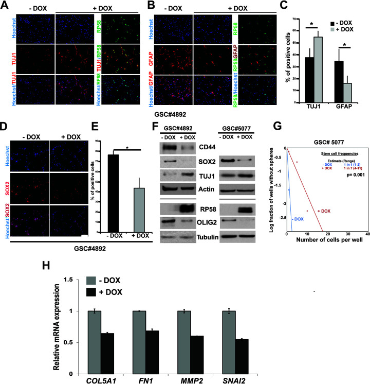 FIG 6