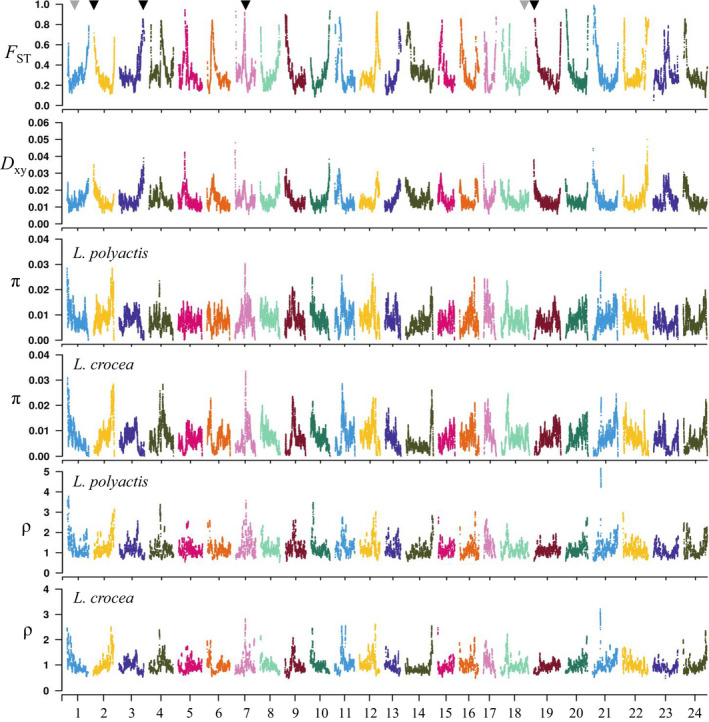 FIGURE 3