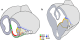 Fig. 5