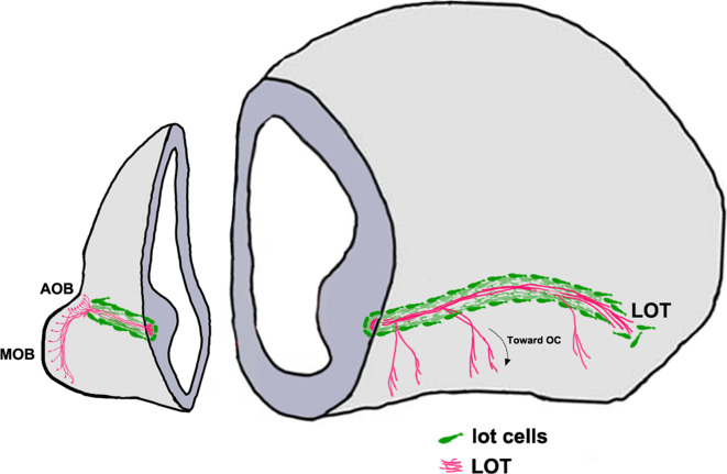 Fig. 4