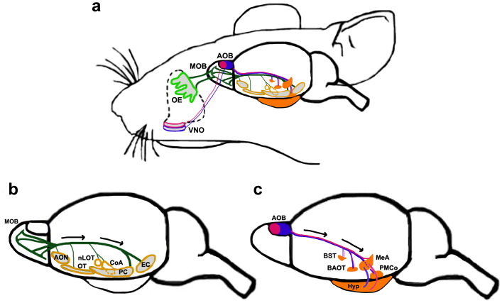 Fig. 2