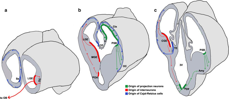 Fig. 1