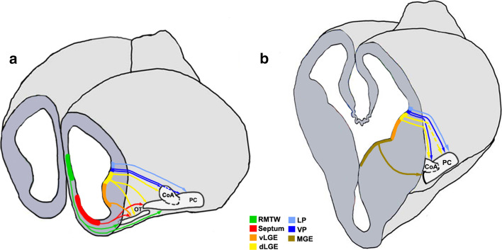 Fig. 5