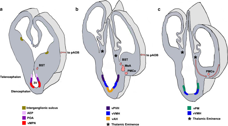 Fig. 7