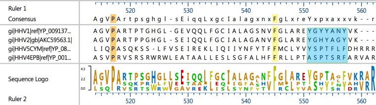 FIG 7