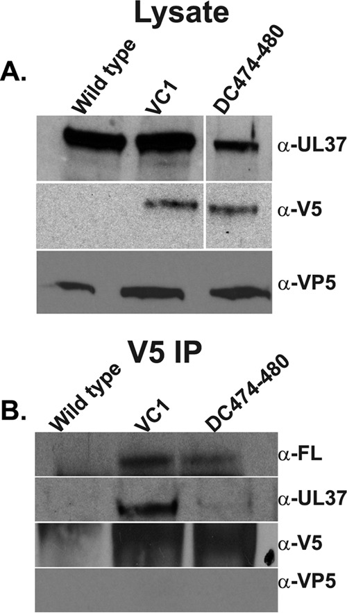 FIG 6