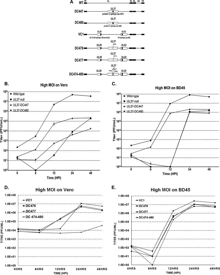 FIG 4