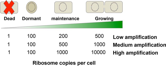 FIG 1