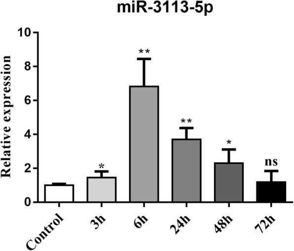 Fig. 6