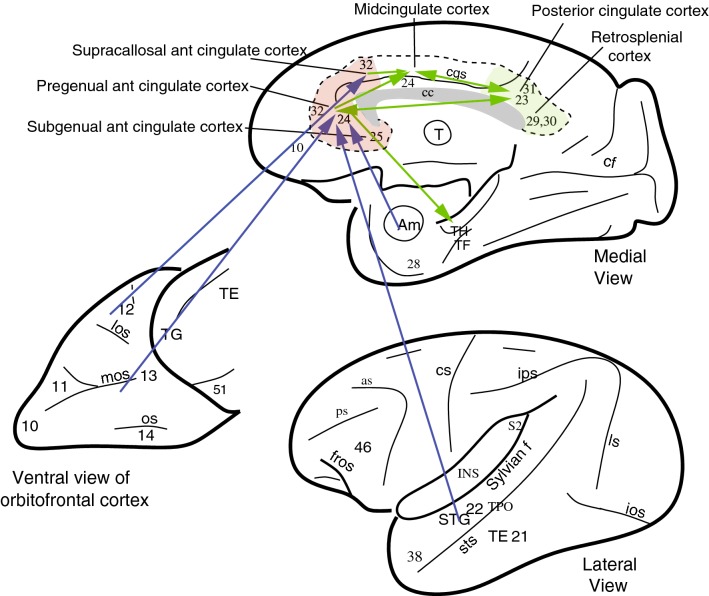 Fig. 2