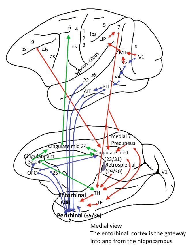 Fig. 1