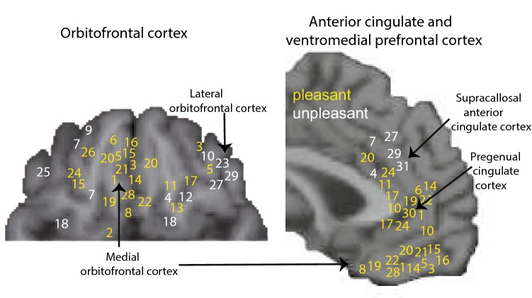 Fig. 4