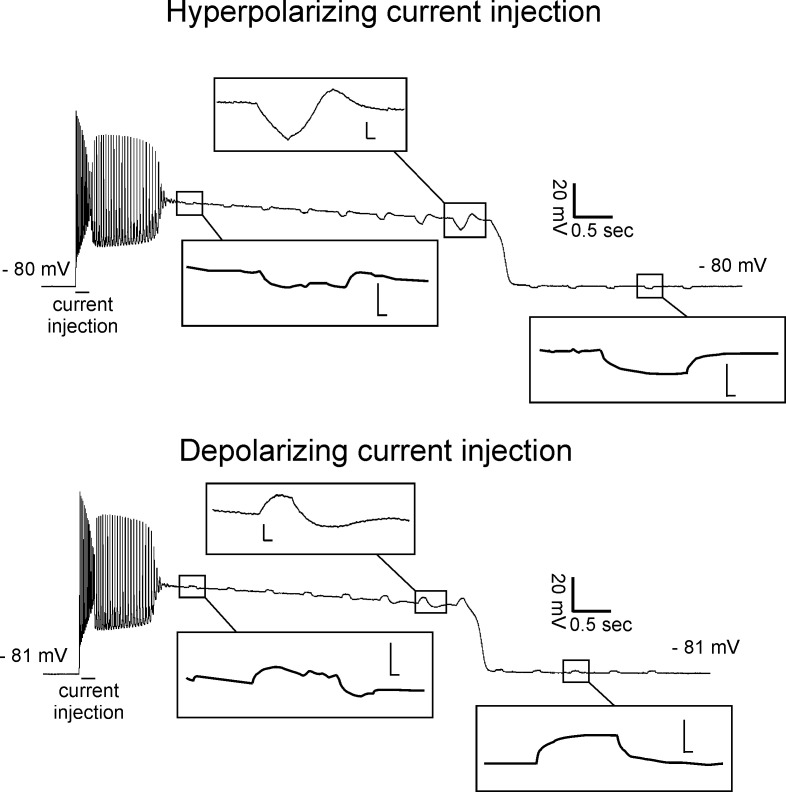 Figure 5.