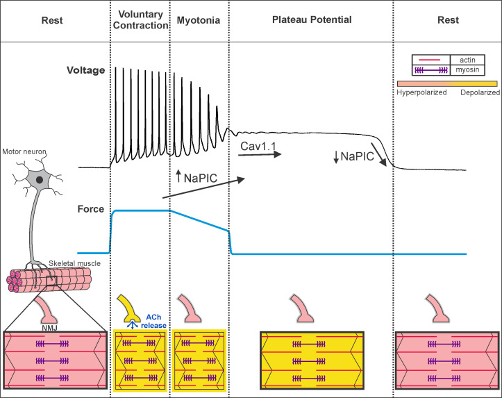 Figure 9.