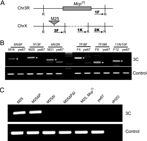 FIG. 4.