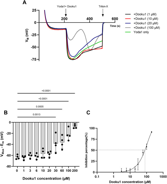 FIGURE 3