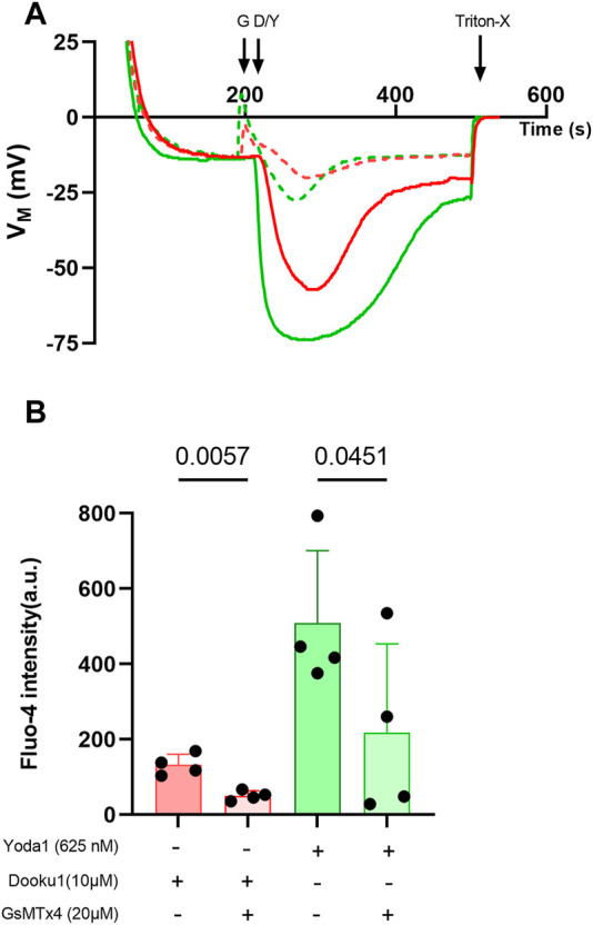 FIGURE 6