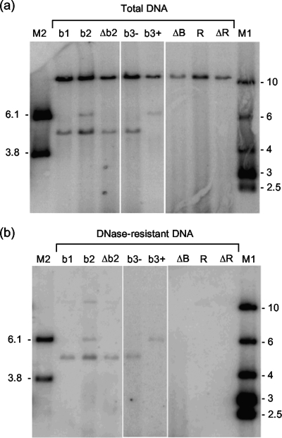 FIG. 5.