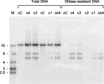 FIG. 6.