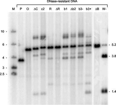 FIG. 7.