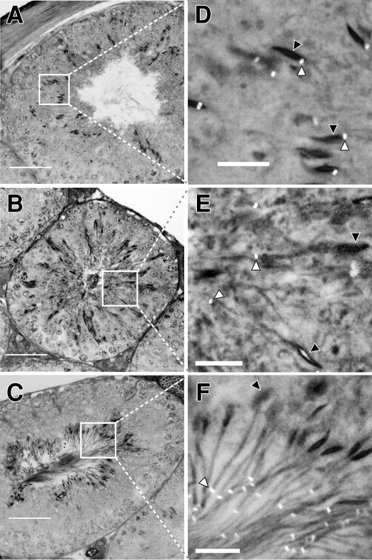 FIG. 9.