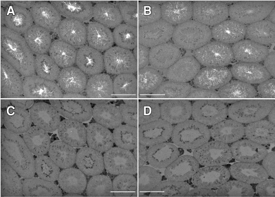 FIG. 7.