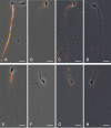 FIG. 4.