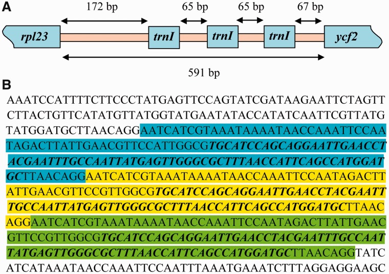 Fig. 3.—