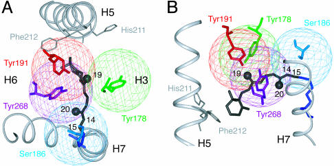 Fig. 3.