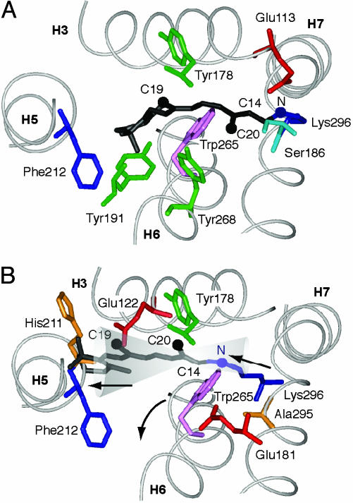 Fig. 6.