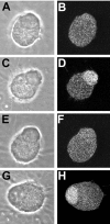 Figure 10.