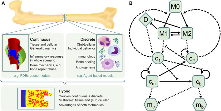 FIGURE 2