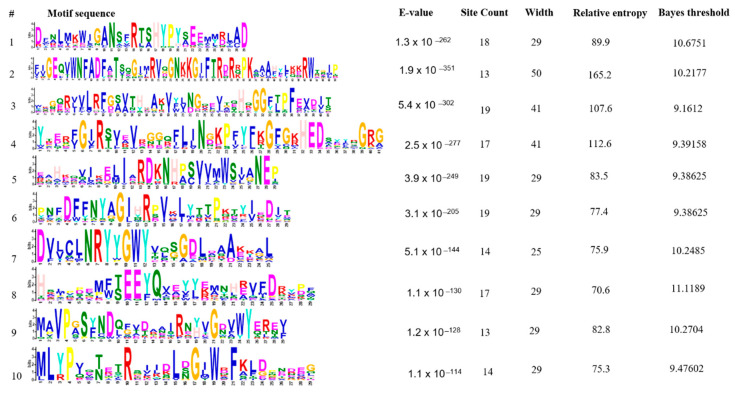 Figure 7