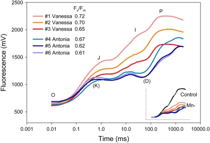 Figure 3.