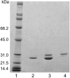 FIGURE 9.