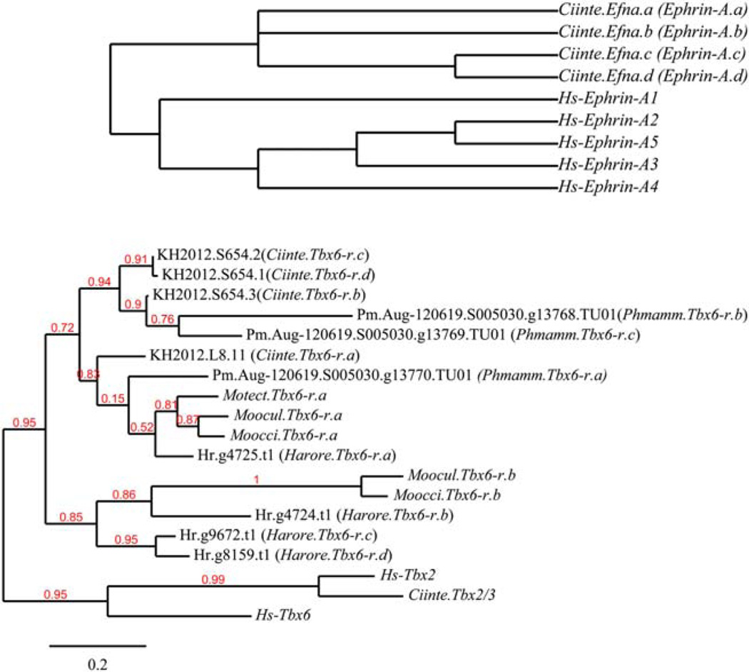 FIG. 1