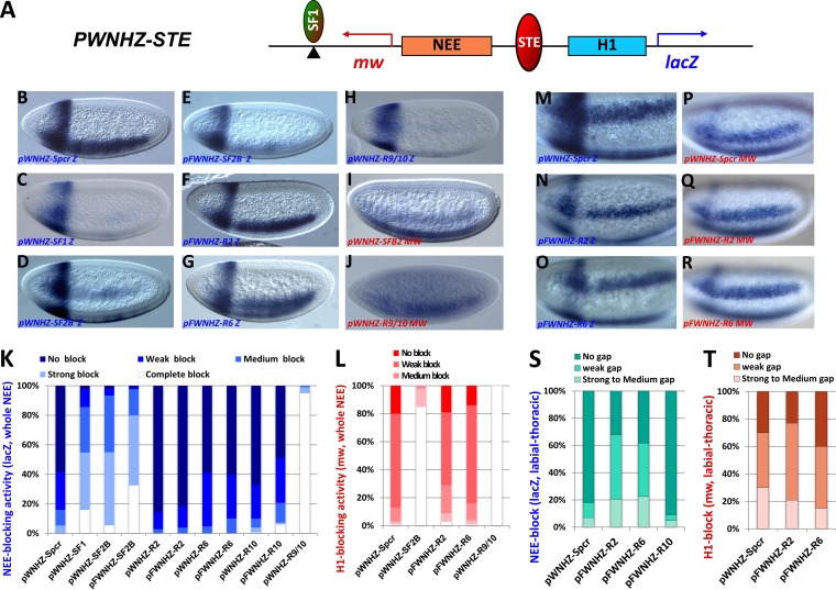 FIG 6