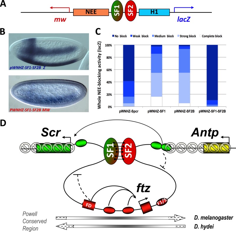 FIG 7