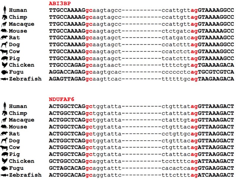 FIGURE 4